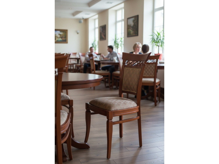 Стул Дувр из массива бука купить для дома и HoReCa